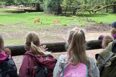 20250804Sommerasuflug-Kids003