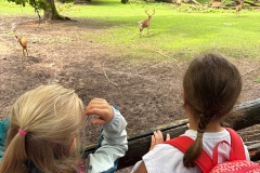 20250804Sommerasuflug-Kids004