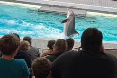 20250804Sommerasuflug-Kids007