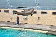 20250804Sommerasuflug-Kids008