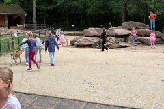 20250804Sommerasuflug-Kids015