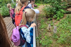 20250804Sommerasuflug-Kids023