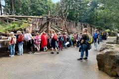 20250804Sommerasuflug-Kids030